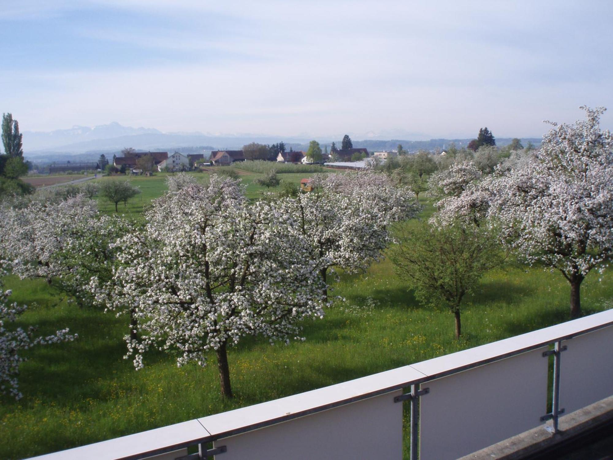 Hotel Haus St.Michael Dozwil Zewnętrze zdjęcie